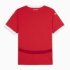 Camisola Áustria Criança 1º Equipamento Euro 2024 Manga Curta